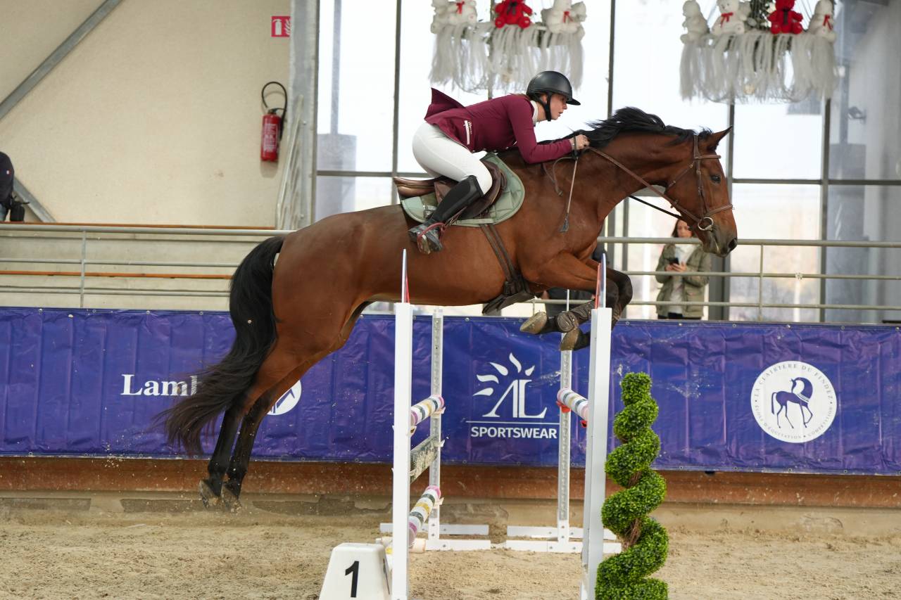 VICTOIRE MONTANA Z ? Jument Zangersheide de 4ans