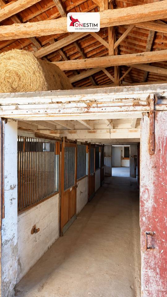 Propri&eacute;t&eacute; &eacute;questre -Chalain le Comtal (42) 1.6 hectares