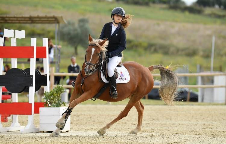 Jument Origine Constat&eacute;e A vendre 2015 Alezan