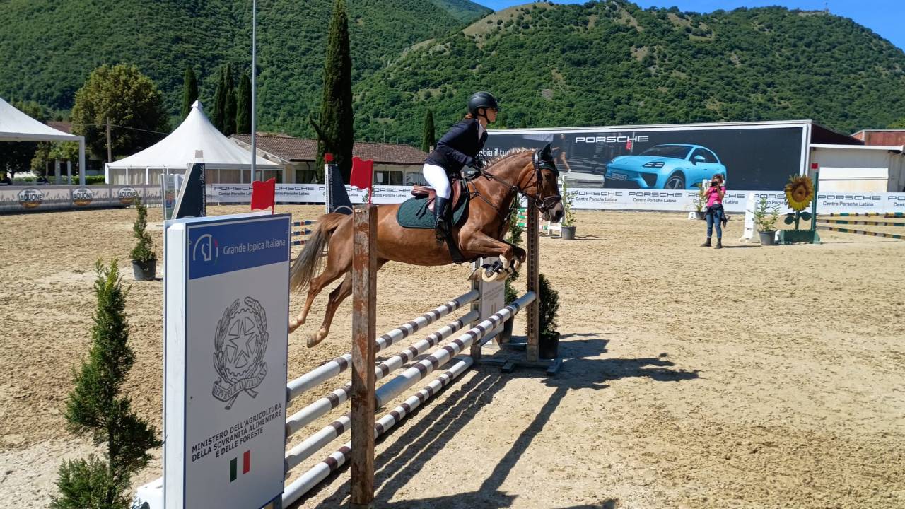 Jument Origine Constat&eacute;e A vendre 2015 Alezan