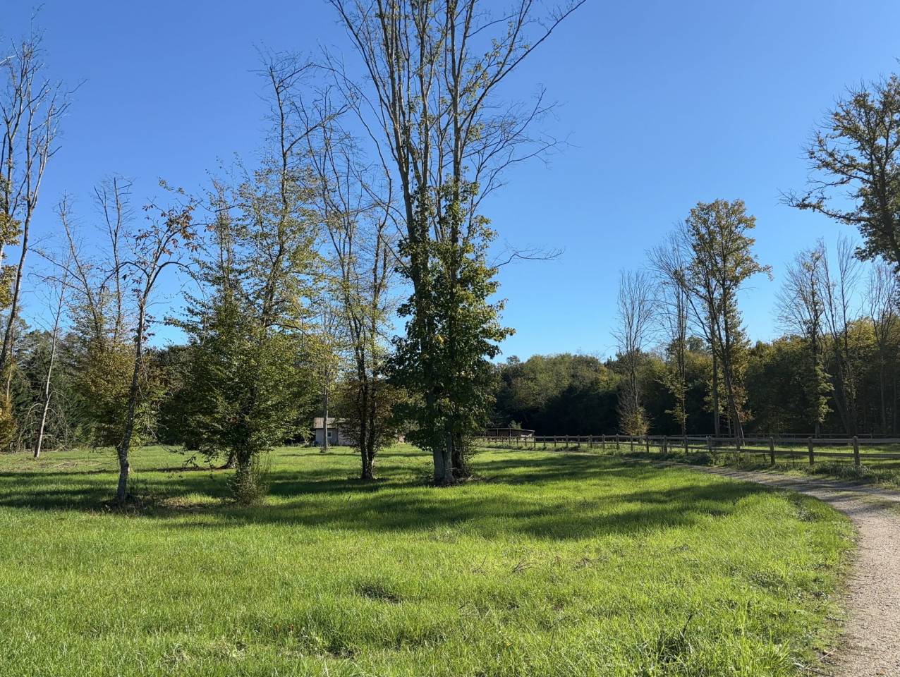 &Agrave; VENDRE  Propri&eacute;t&eacute; &eacute;questre de 2,8 hectares &agrave; Vimory (4