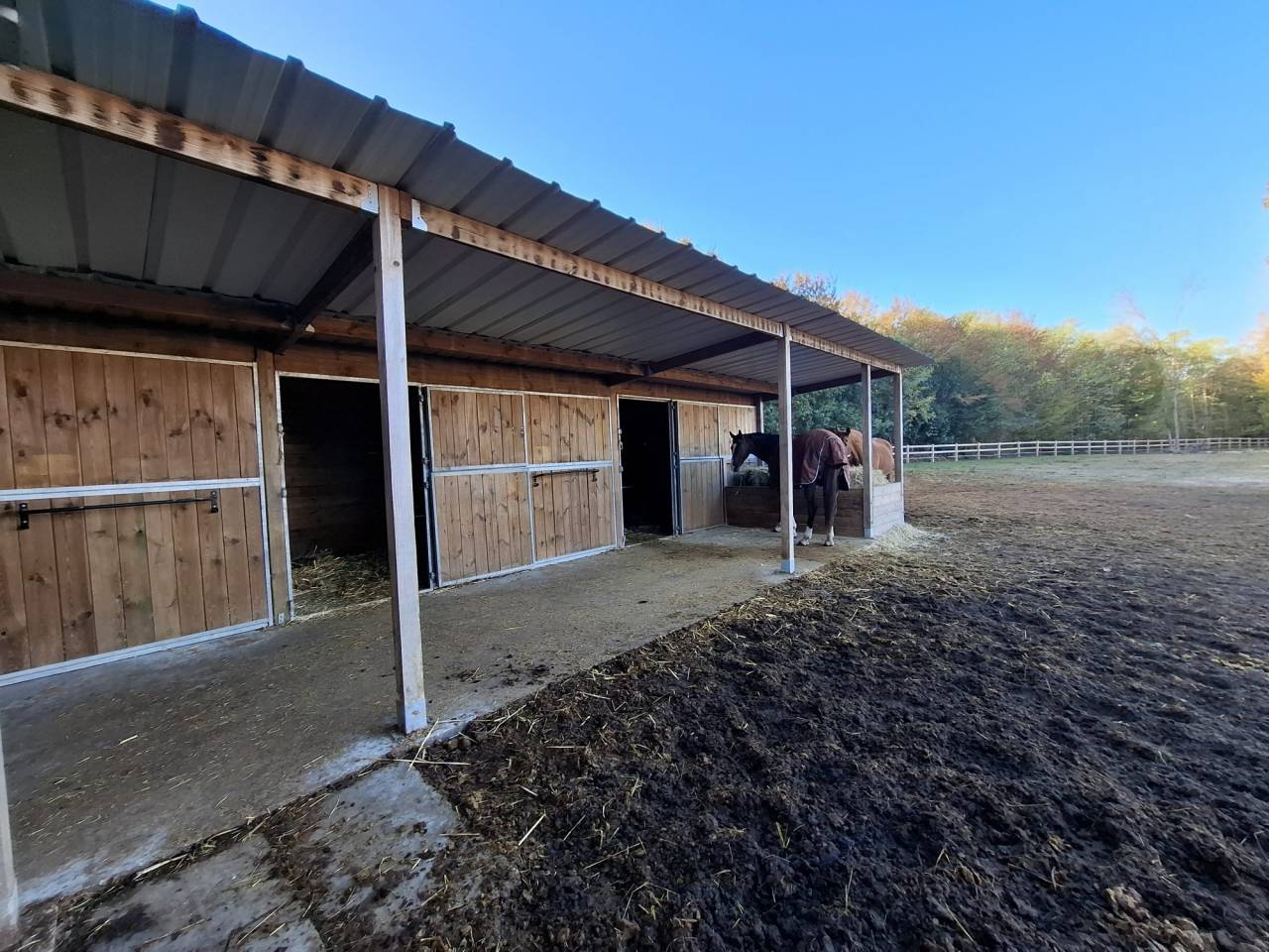 &Agrave; VENDRE  Propri&eacute;t&eacute; &eacute;questre de 2,8 hectares &agrave; Vimory (4