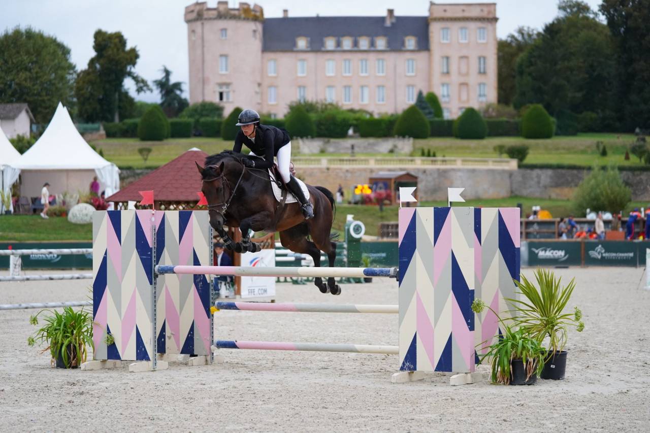 Jument - Oldenbourg - 8 ans - Dressage - France