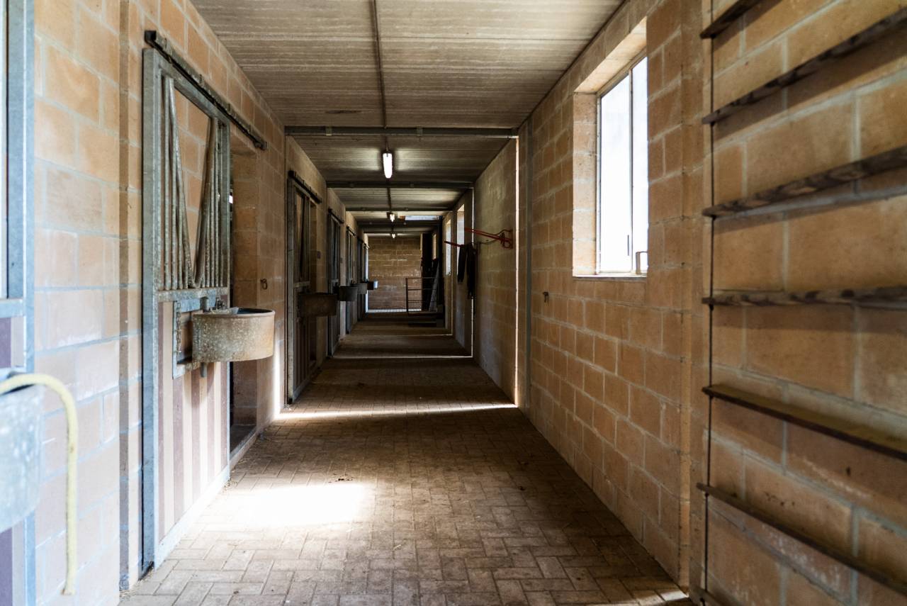Superbe propri&eacute;t&eacute; &eacute;questre d'exception sur 4,5 hectares