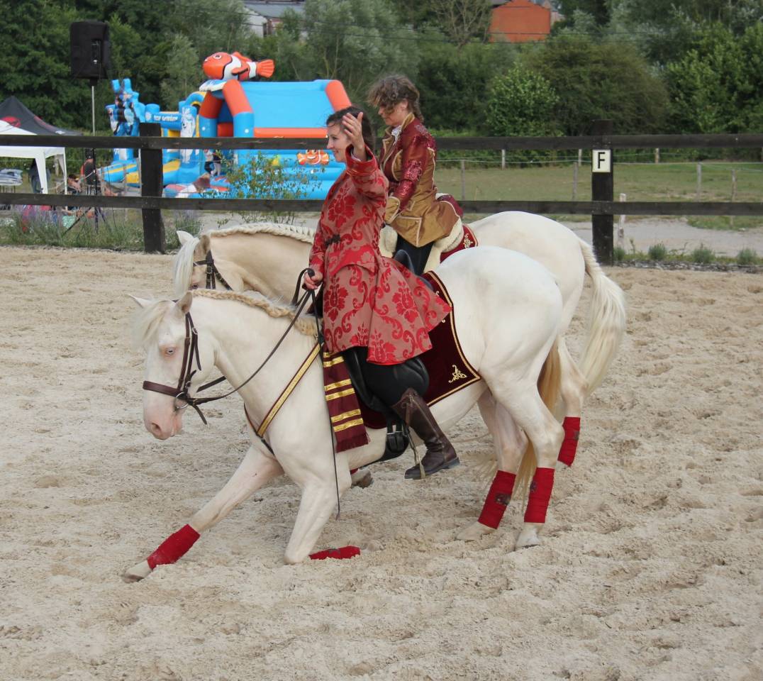 Lusitanien , lusitano a vendre 5 ans