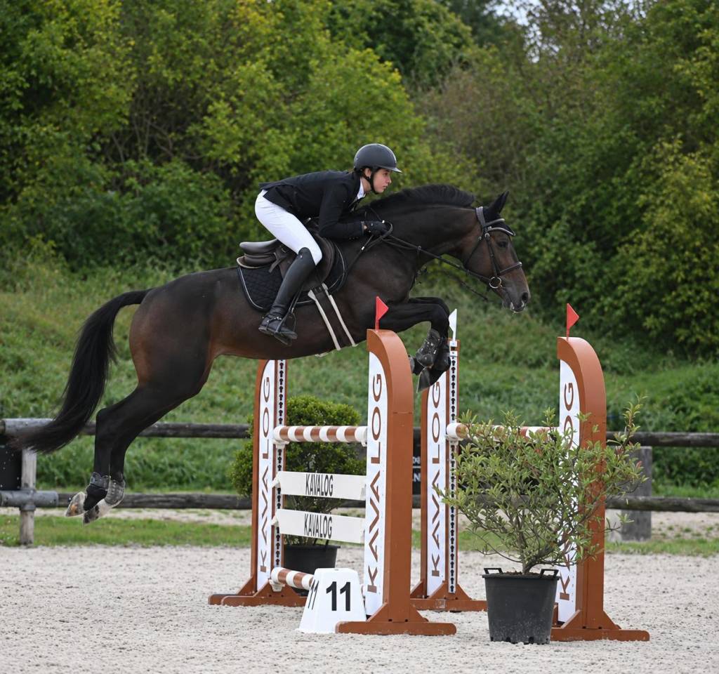 TOP 6 ANS AMATEUR 