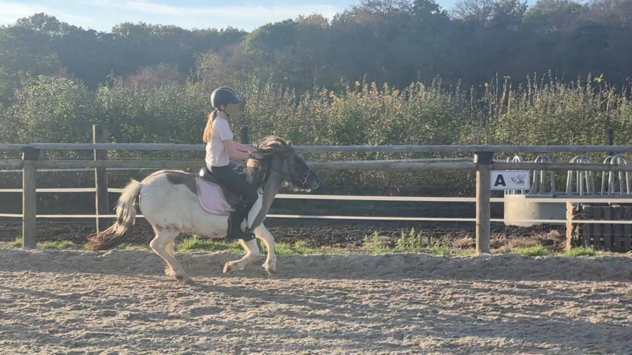 Fantastique ponette pp 109cm 