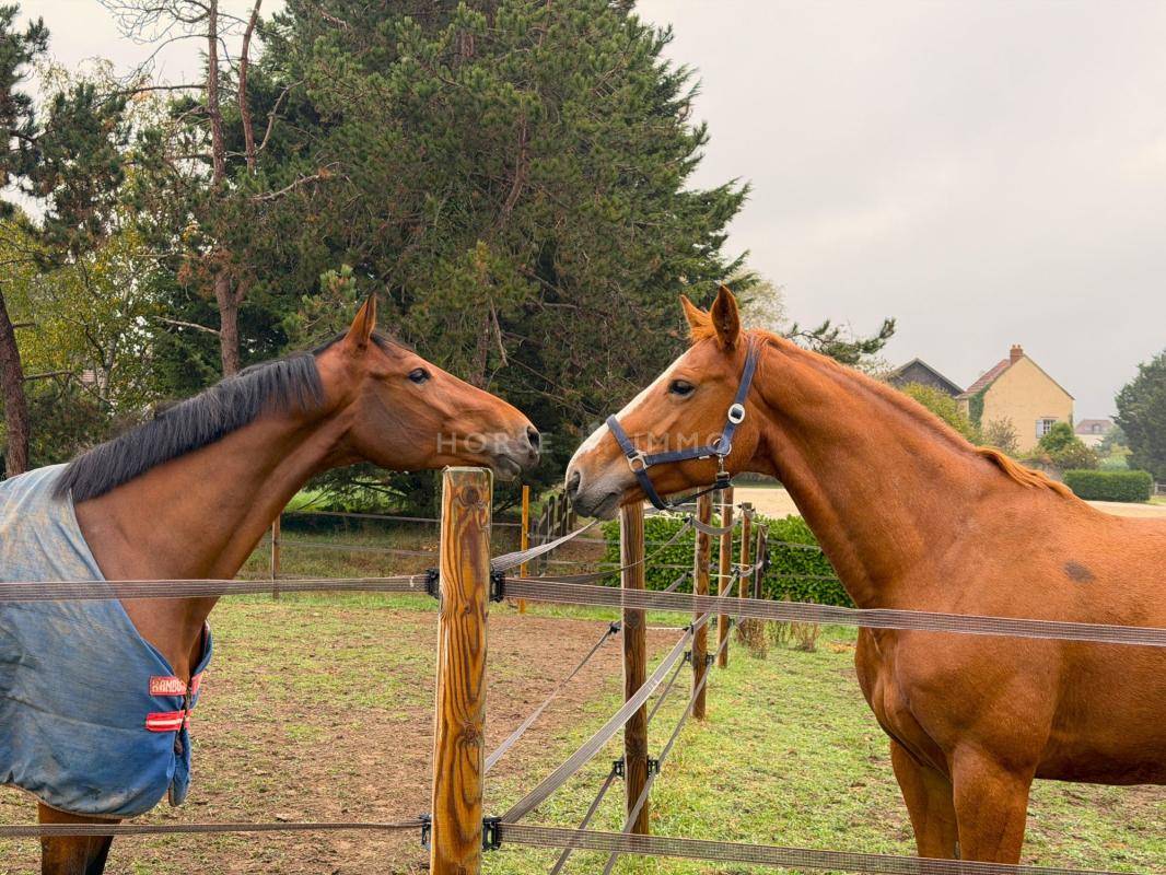 Belle Propri&eacute;t&eacute; Equestre dans le 78 proche de Paris