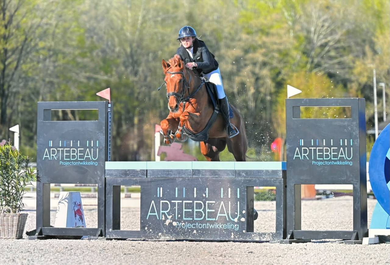 Dizi d&rsquo;harreville -> Hongre de 13 ans &agrave; vendre pour CSO