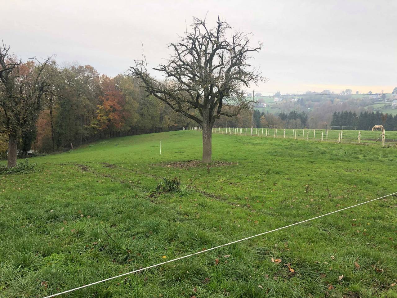 pension prairie Soumagne Herve Blegny (Liege) 180/mois