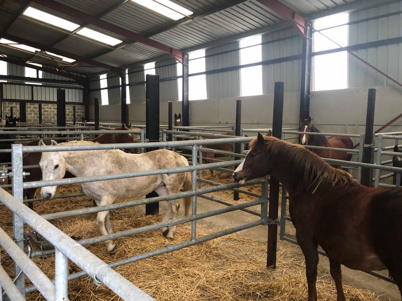 pension prairie Soumagne Herve Blegny (Liege) 180/mois