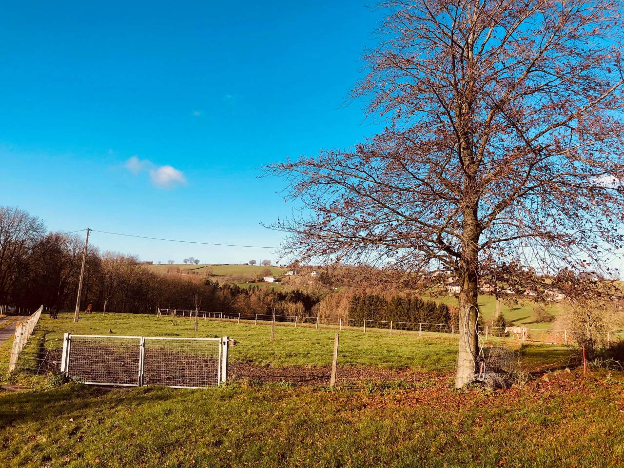 pension prairie Soumagne Herve Blegny (Liege) 180/mois