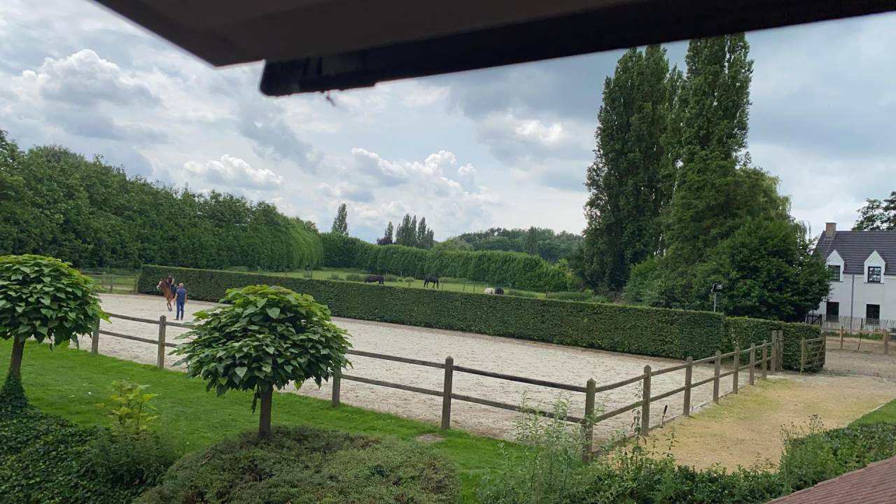 boxes chevaux se situant à 1853 Grimbergen 