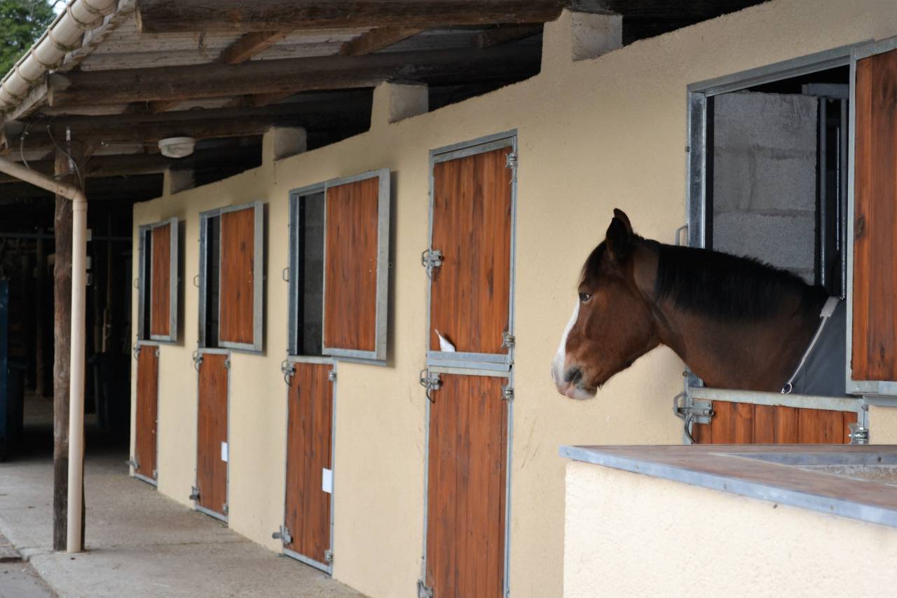 Séjour Equitation en Drôme Provençale