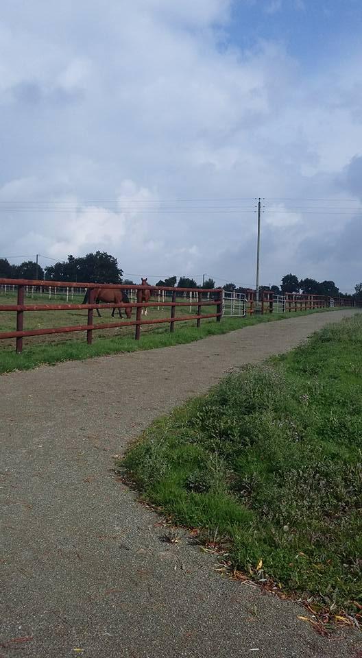 Gite équestre, Gite de l'aulnay