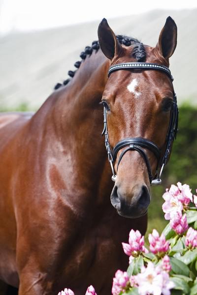 Saillies de ZZ TOP - ETALON DE SPORT 