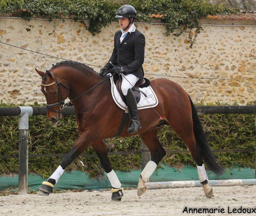 Saillies de ZZ TOP - ETALON DE SPORT 