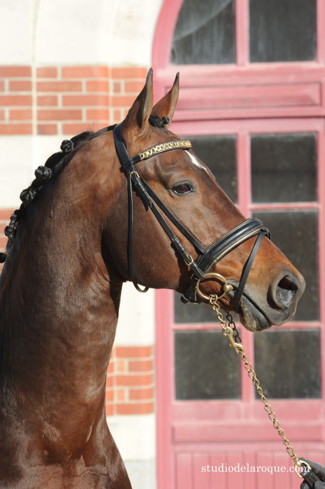 Saillies de ZZ TOP - ETALON DE SPORT 