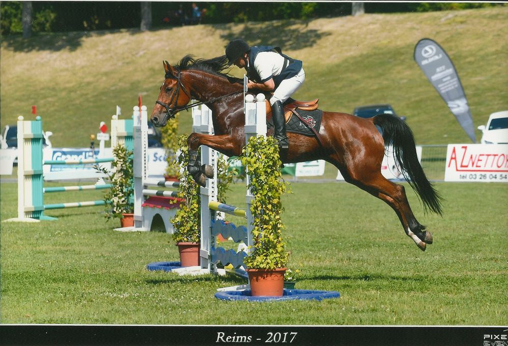 Saillies de ZZ TOP - ETALON DE SPORT 