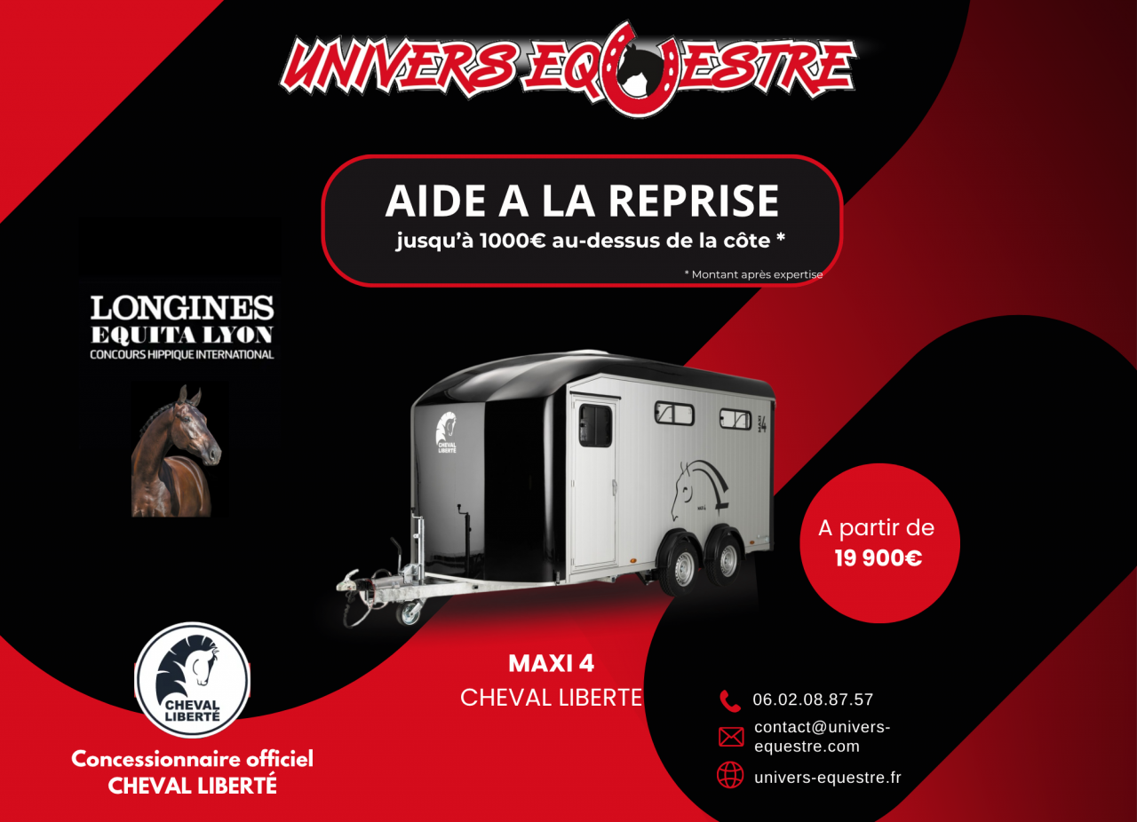 Van CHEVAL LIBERTE 4 places MAXI 4