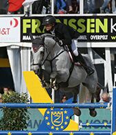 Un super étalon 5* INTERNATIONNAL pour votre jument