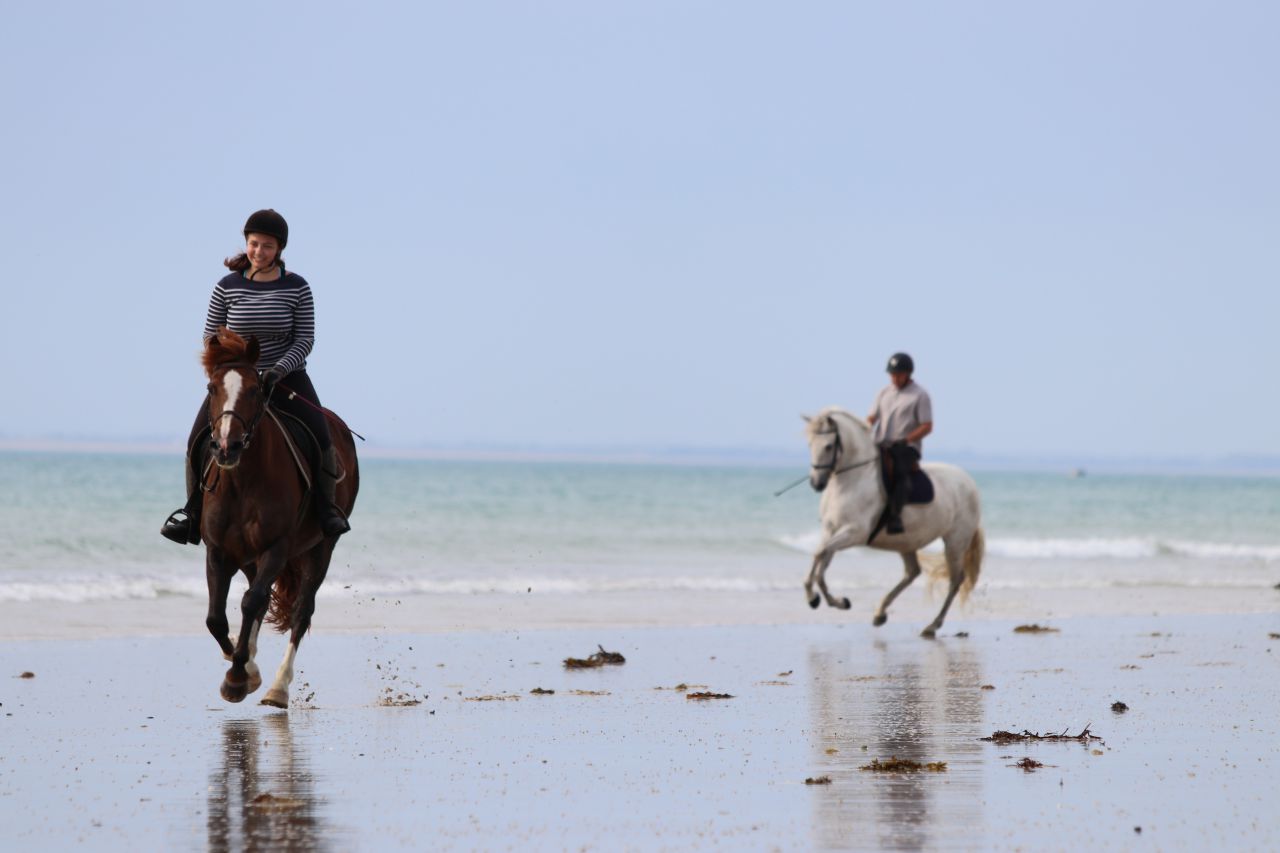 G&icirc;tes &eacute;questres bord de mer