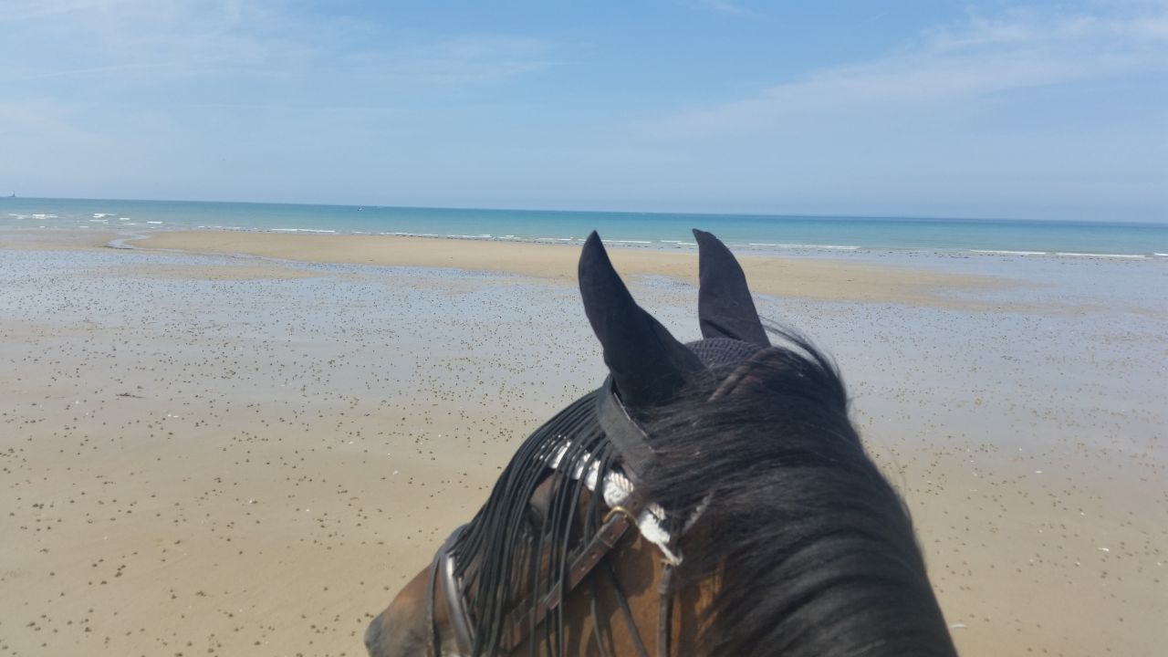 G&icirc;tes &eacute;questres bord de mer