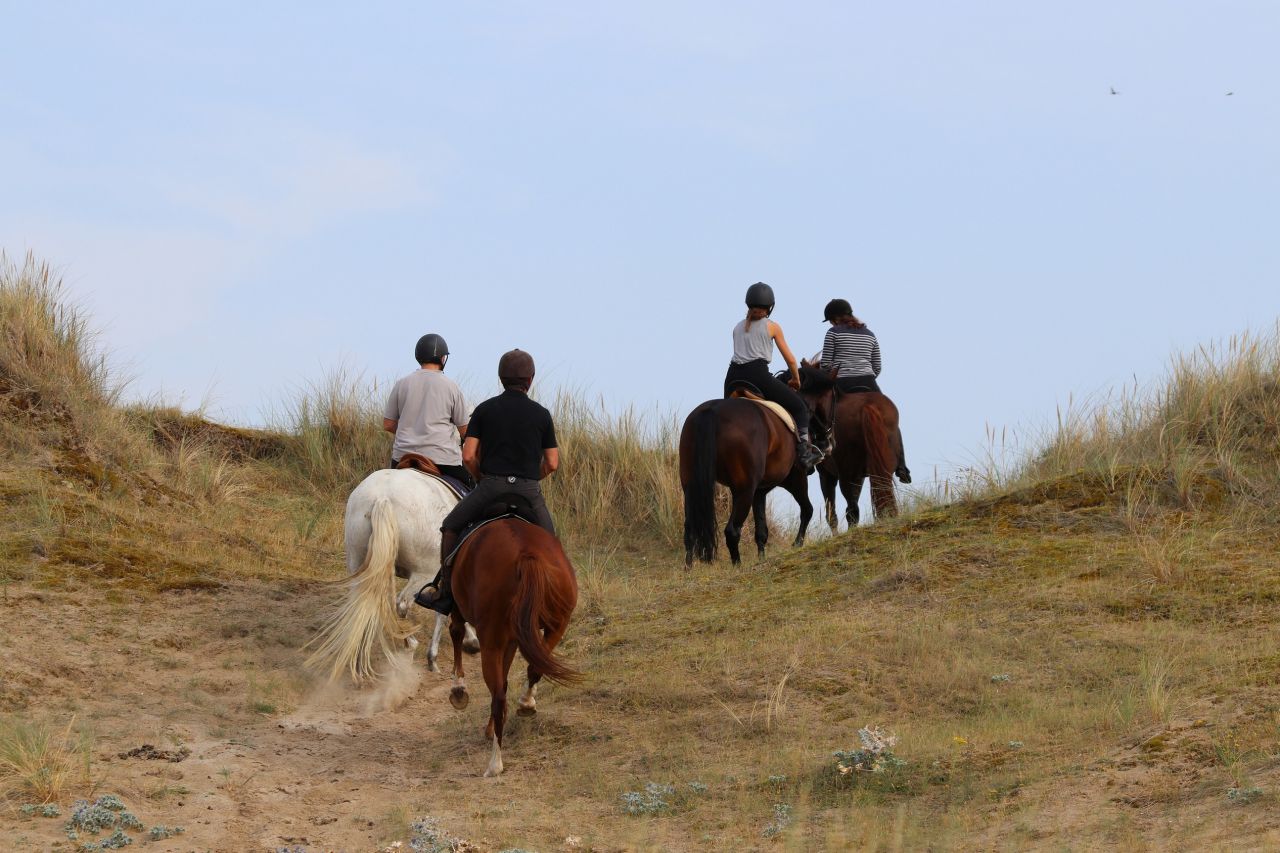 G&icirc;tes &eacute;questres bord de mer