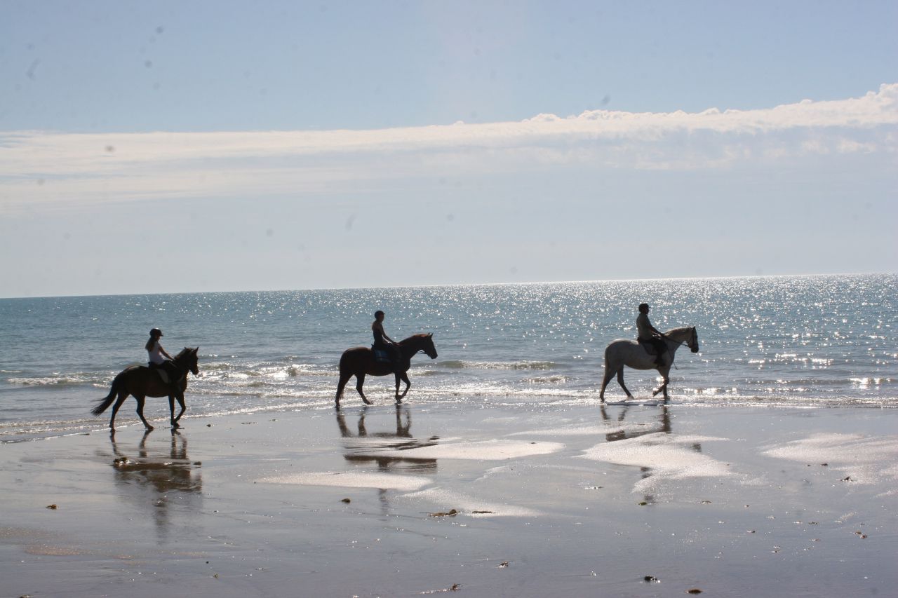 G&icirc;tes &eacute;questres bord de mer
