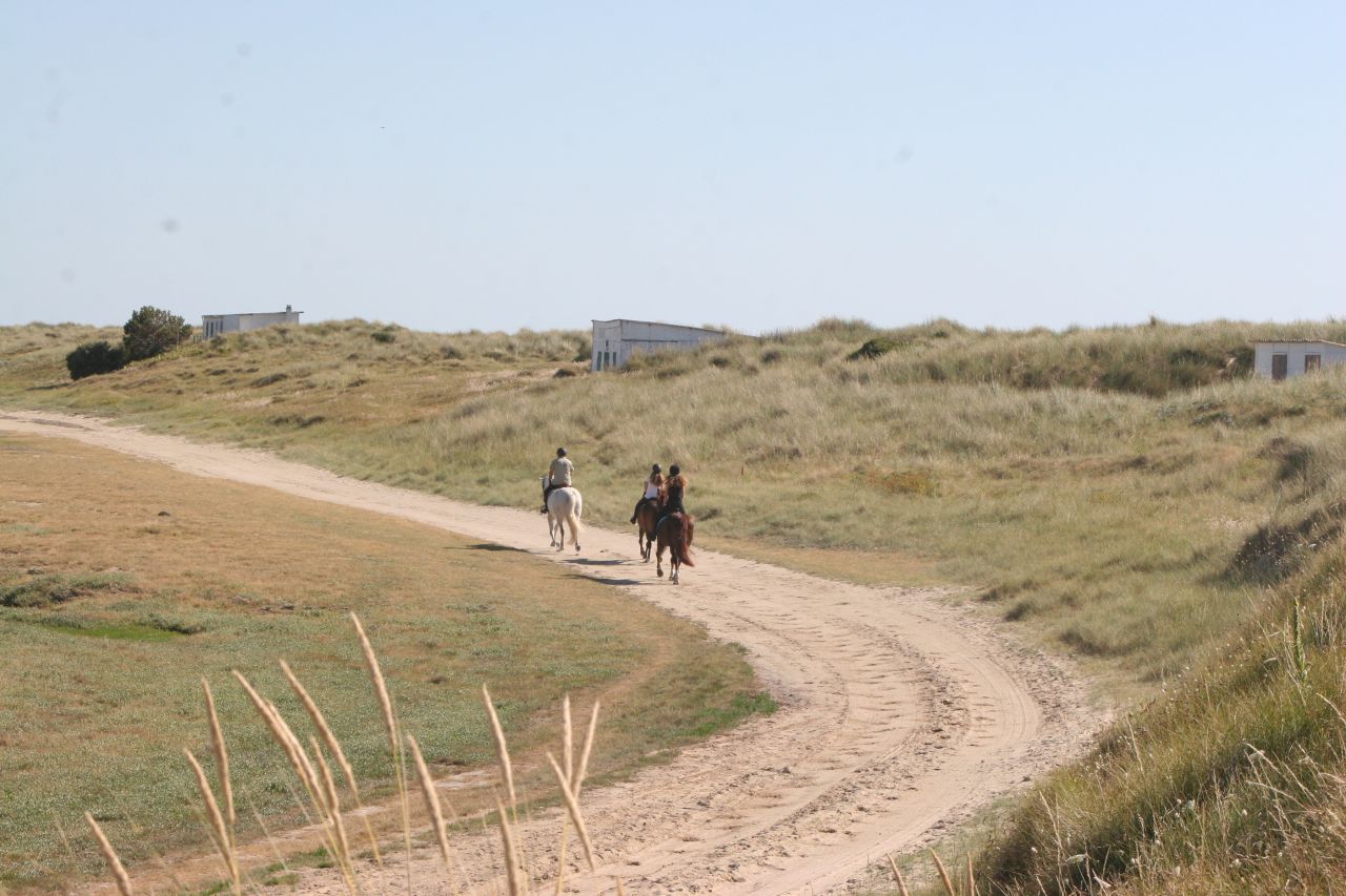 G&icirc;tes &eacute;questres bord de mer