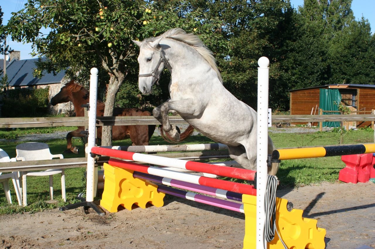 G&icirc;tes &eacute;questres bord de mer