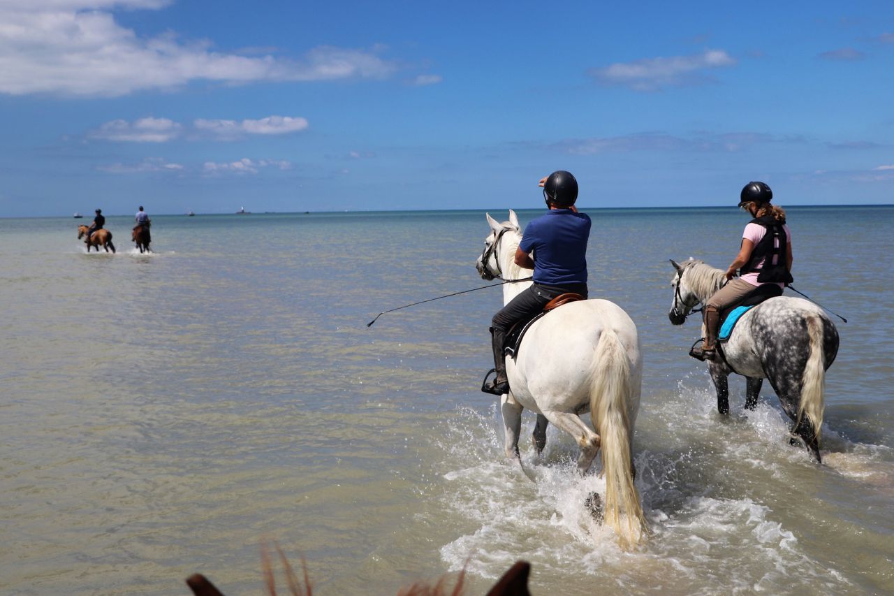 G&icirc;tes &eacute;questres bord de mer