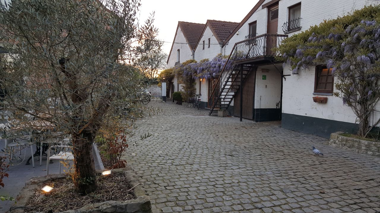 box à louer Manège Bruneel à Kampenhout