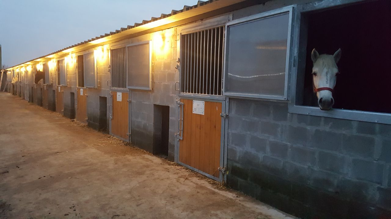 box à louer Manège Bruneel à Kampenhout