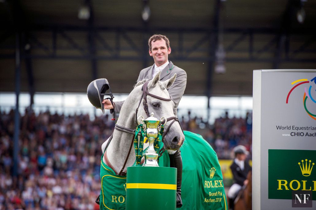 Convall -  gris - 1M72 - Holstein