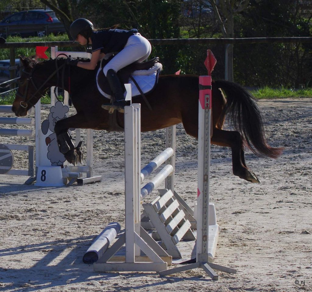 Bon potentiel sportif et excellentes origines