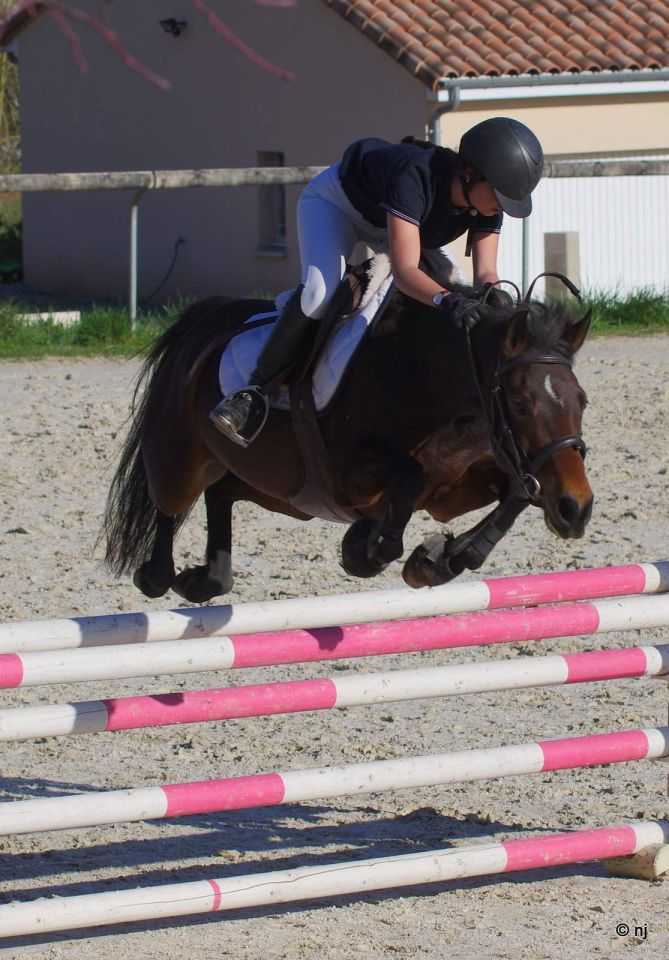 Bon potentiel sportif et excellentes origines