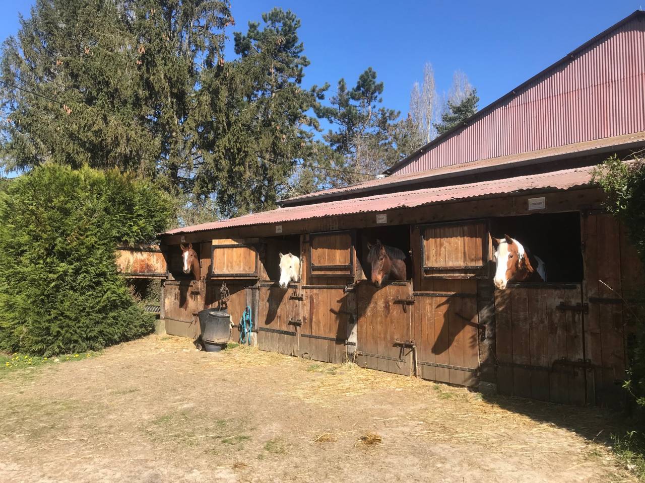 S&eacute;jour equestre - centre &eacute;questre de Montgareux 77