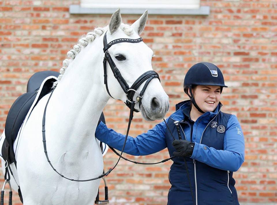 D'Albigeois de Baudémont - étalon connemara