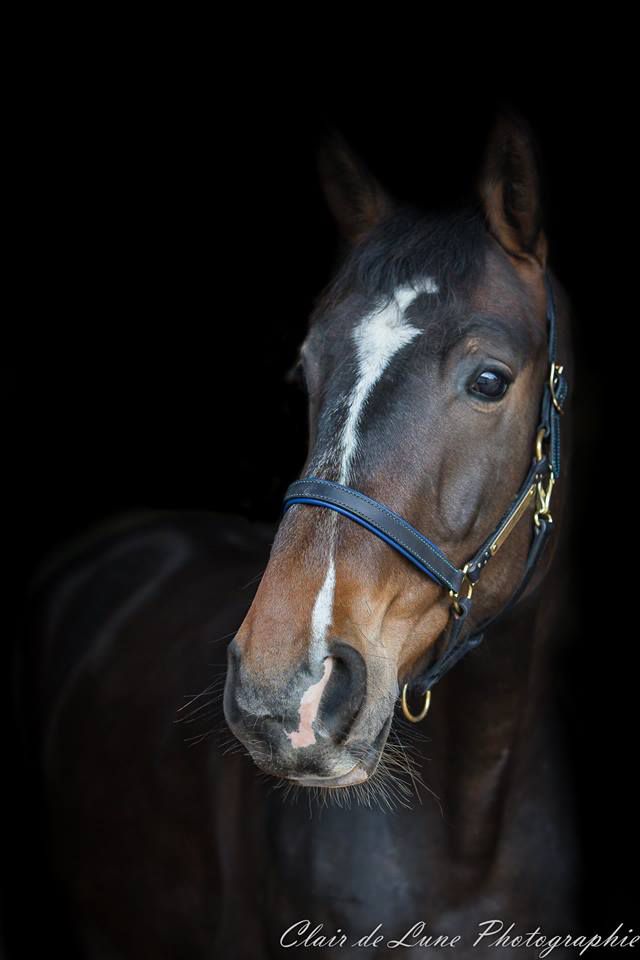 Photographe professionnelle