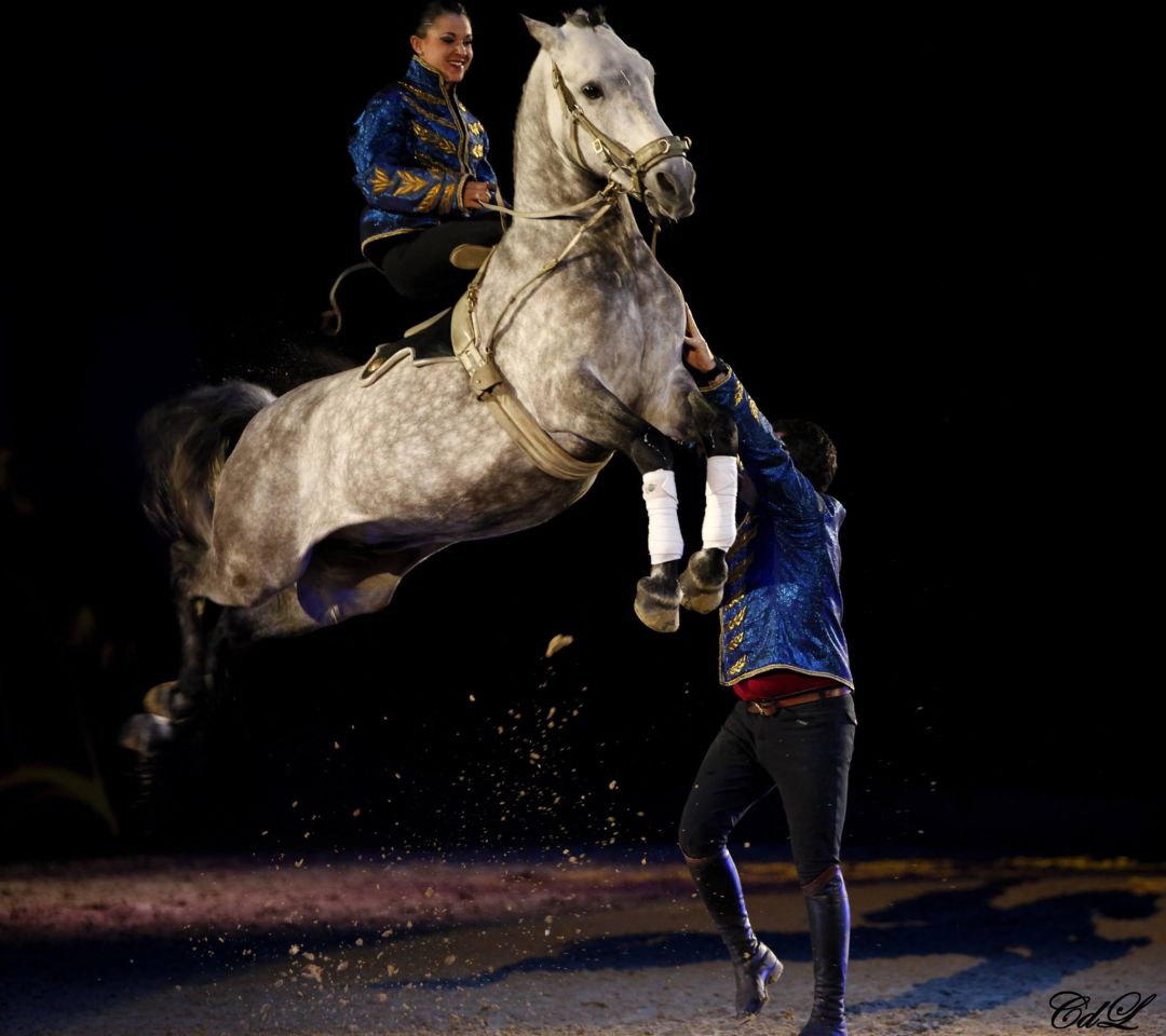 Photographe professionnelle