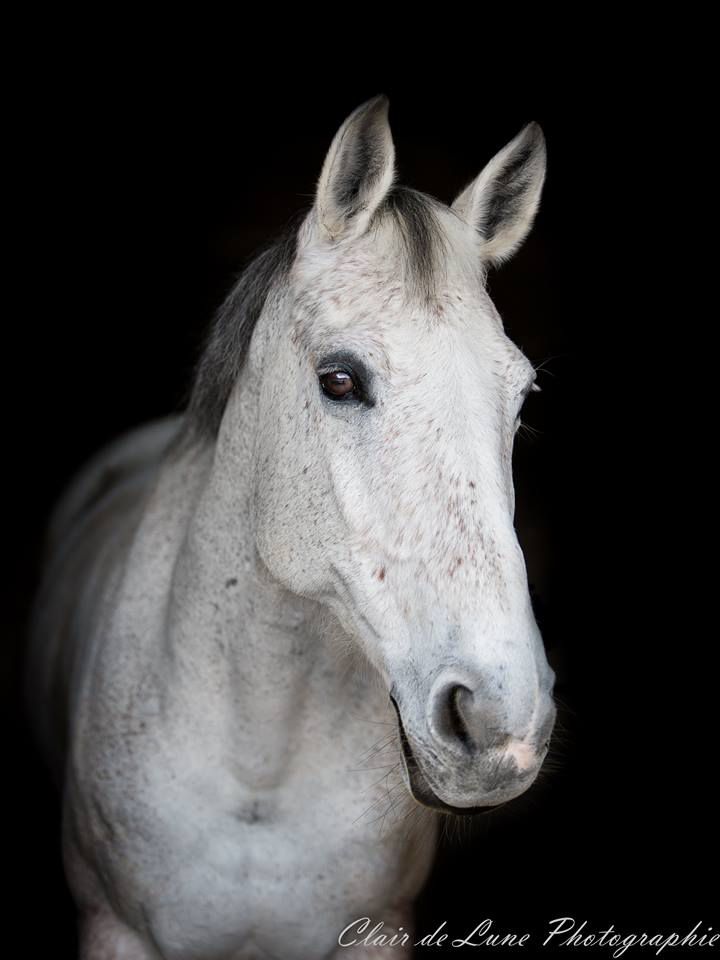 Photographe professionnelle