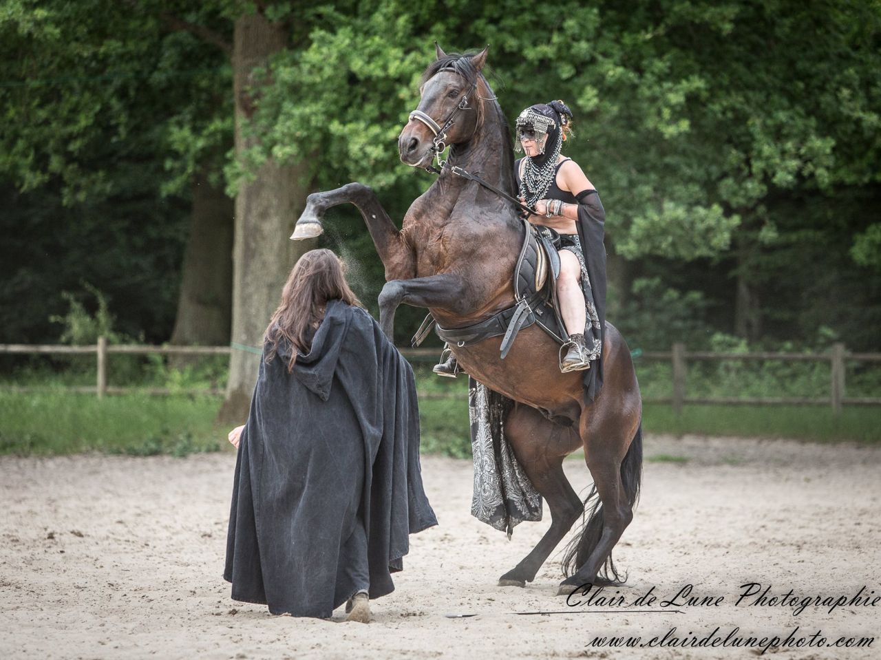 Photographe professionnelle