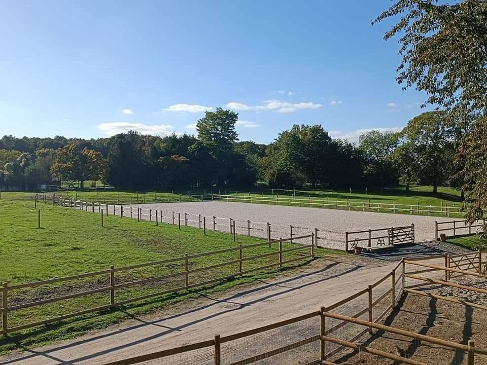 Ecuries Privée - Calme et professionnalisme