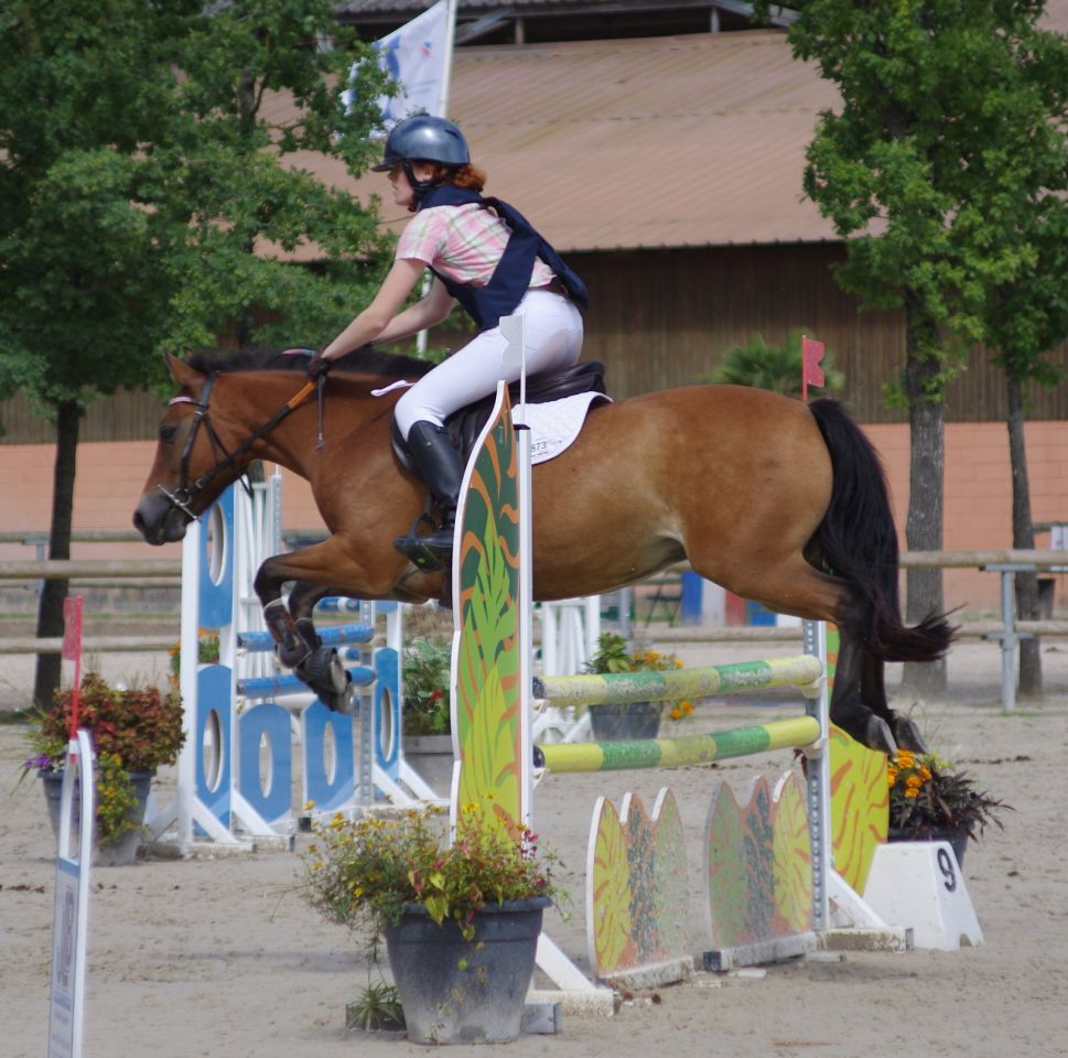 Ponette de sport excellentes origines
