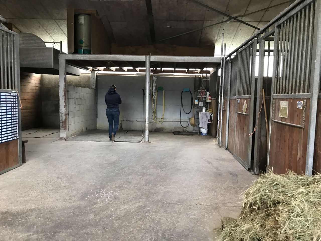 Box pour chevaux a louer