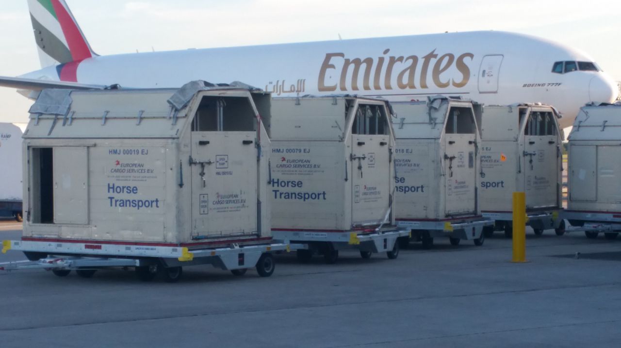 TRANSPORT DE CHEVAUX TOUTES DESTINATIONS