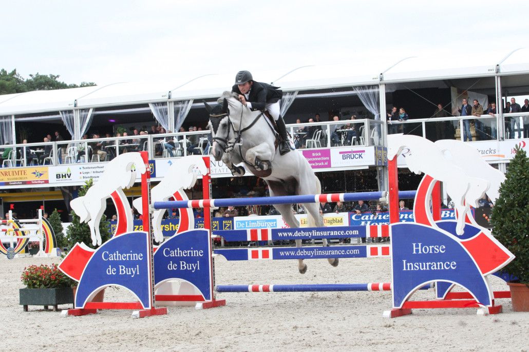 Cornet's Stern - Westphalien - 2003 - Gris - 170cm