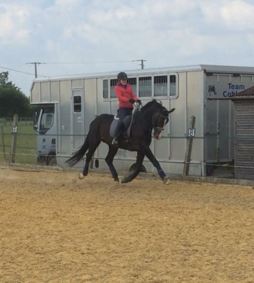 Zodjan J  - 2004 -  178cm