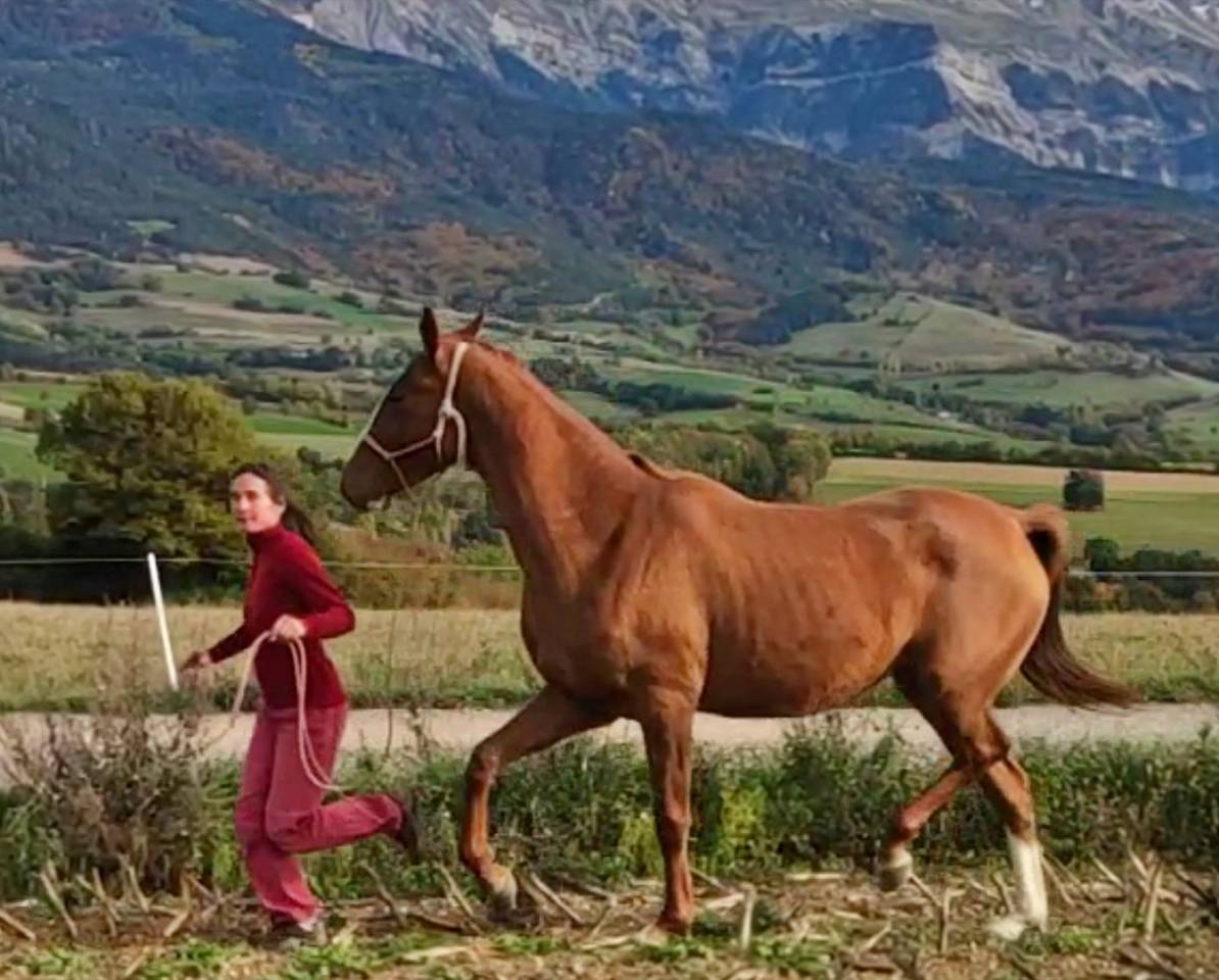 Hazyna, une princesse russe, dans l'écoute et l'énergie